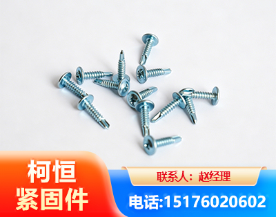 博尔塔拉华司钻尾丝
