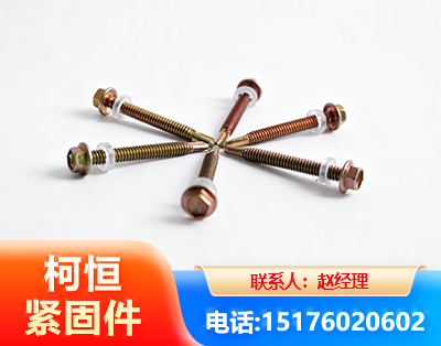 博尔塔拉六角钻尾丝